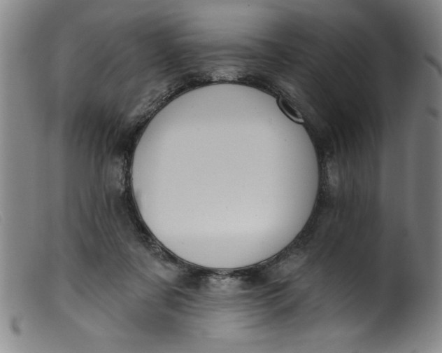 X0000099320311200805161407