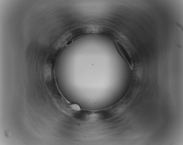 X0000099320312200805161407