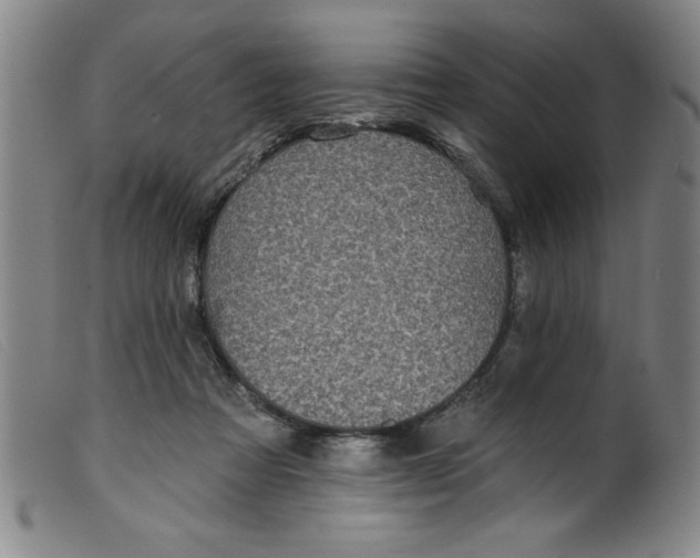 X0000099320313200805161407