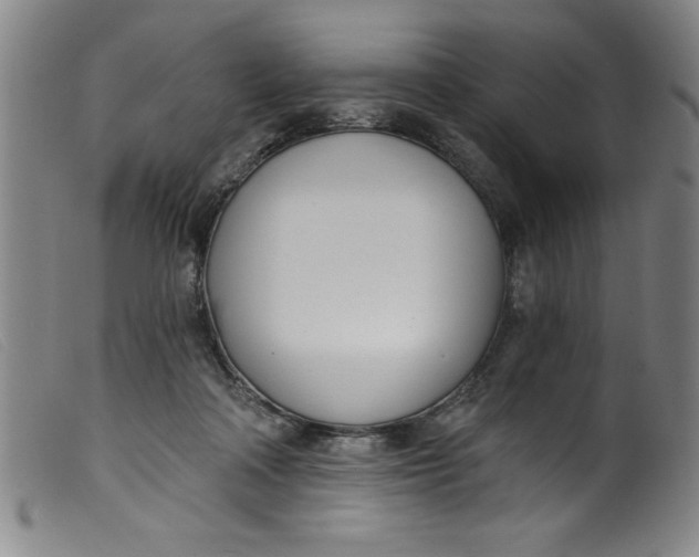 X0000099320314200805161407