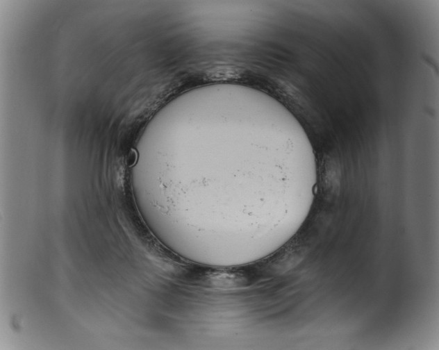 X0000099320315200805161407