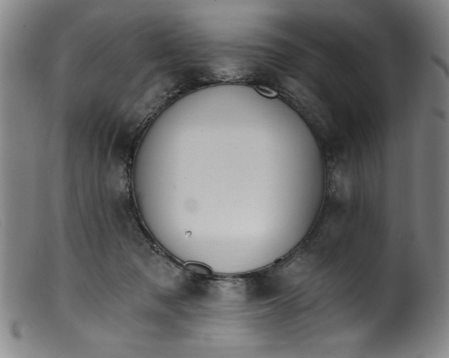 X0000099320317200805161407