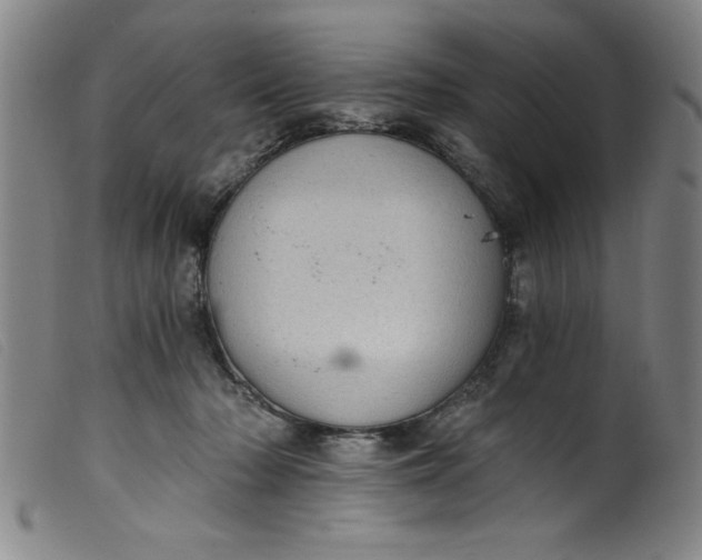 X0000099320318200805161407