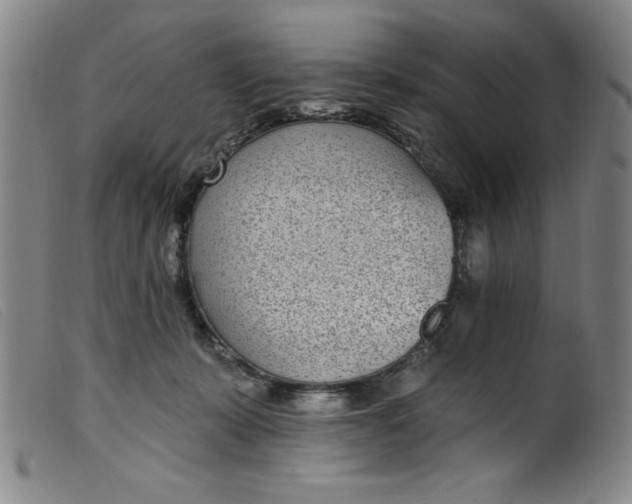 X0000099320319200805161407