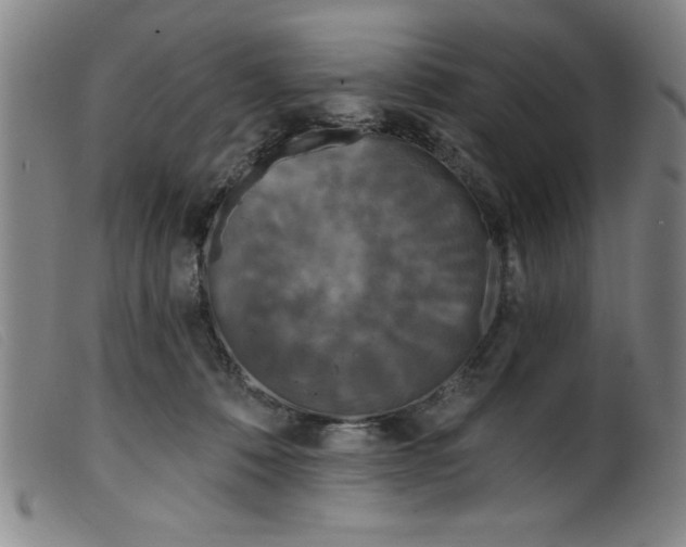 X0000099320320200805161407