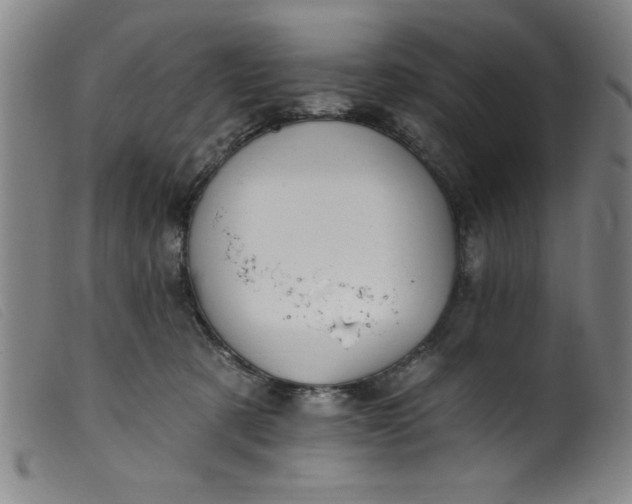 X0000099320321200805161407