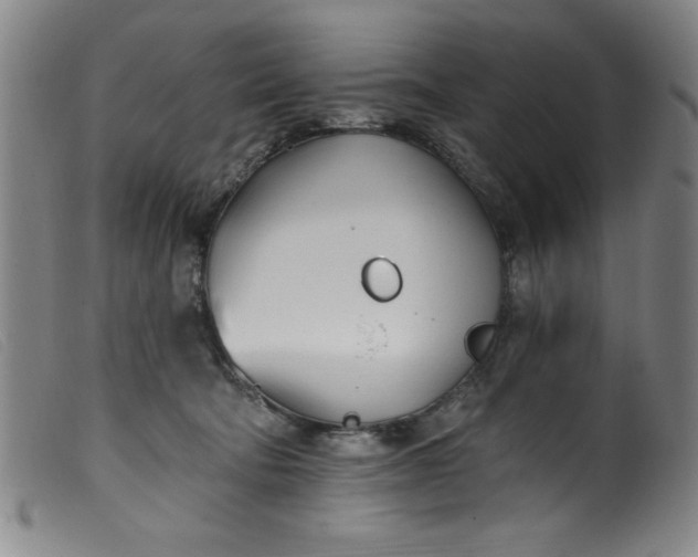 X0000099320322200805161407