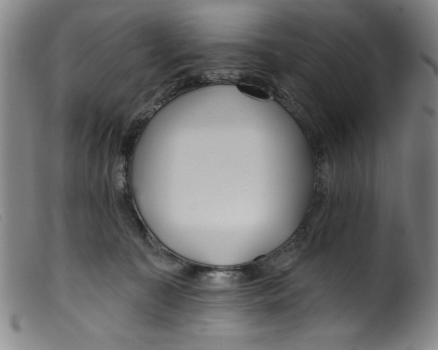 X0000099320323200805161406