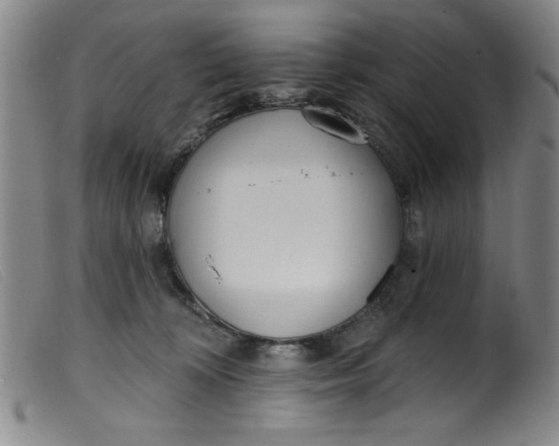 X0000099320324200805161406