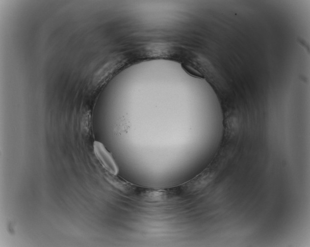 X0000099320325200805161406