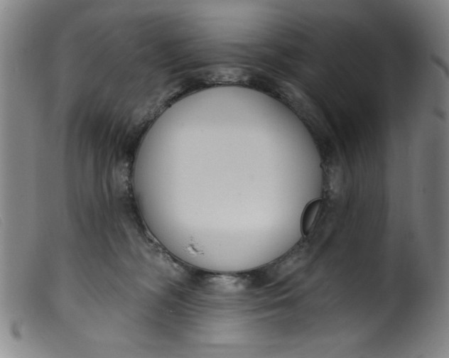 X0000099320326200805161406