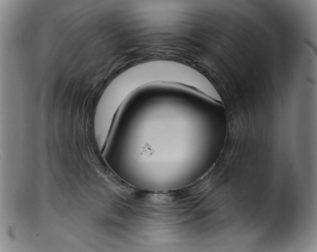 X0000099320327200805161406