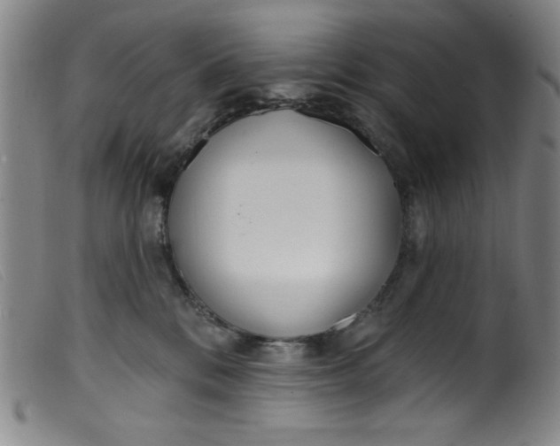 X0000099320328200805161406