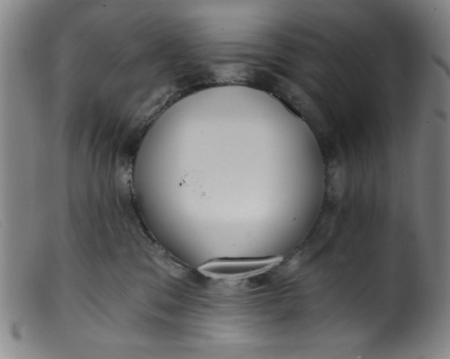 X0000099320329200805161406