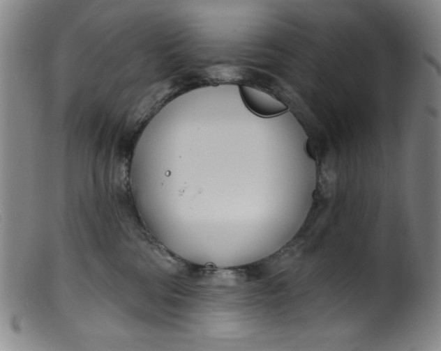 X0000099320330200805161406