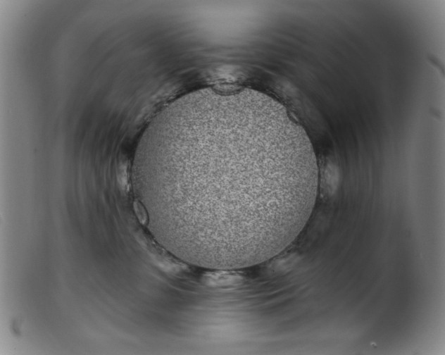 X0000099320331200805161406