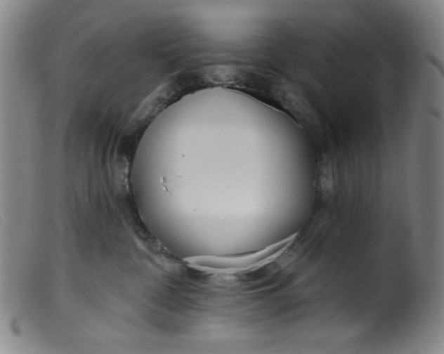 X0000099320332200805161406