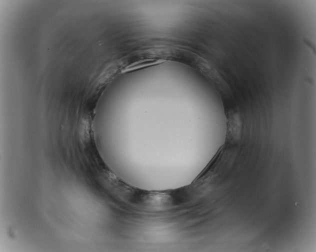 X0000099320333200805161406