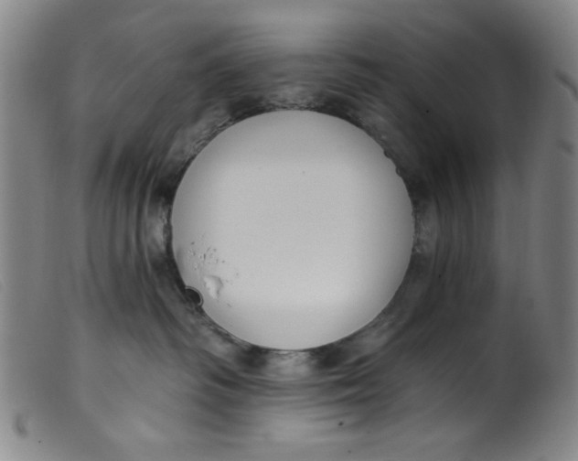 X0000099320334200805161406