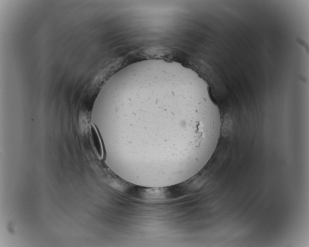 X0000099320335200805161406