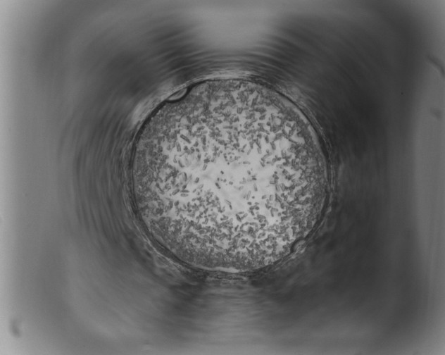 X0000099320337200805161406