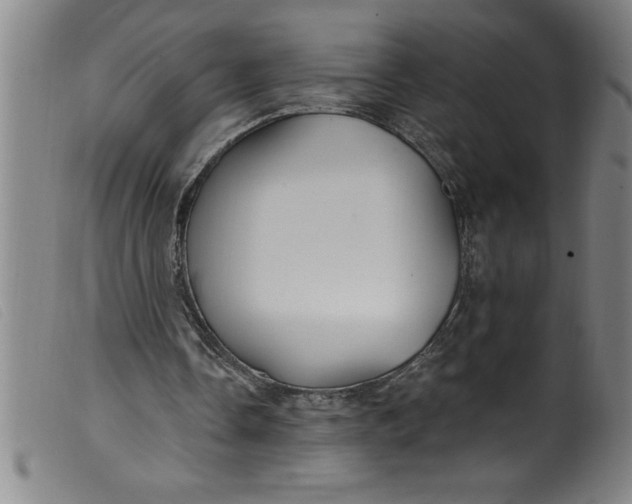 X0000099320338200805161406