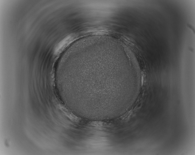 X0000099320339200805161406