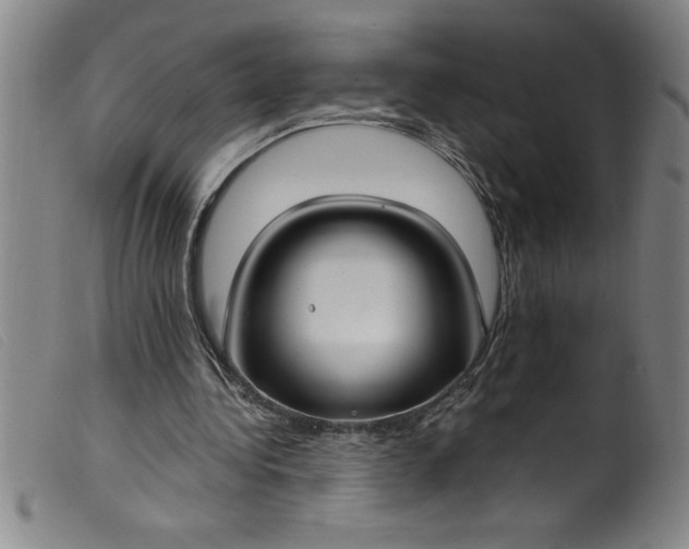 X0000099320340200805161406