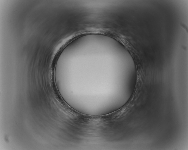 X0000099320342200805161406