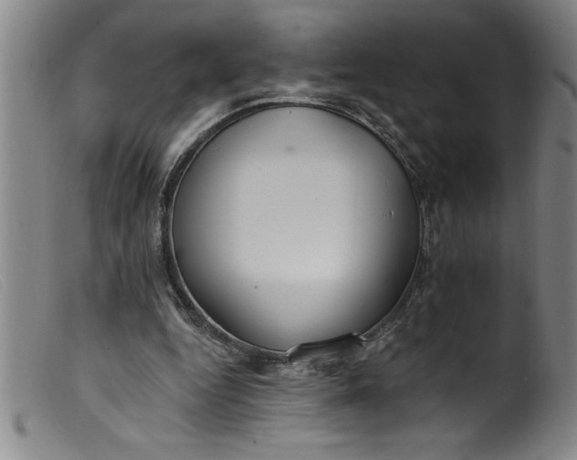 X0000099320344200805161406