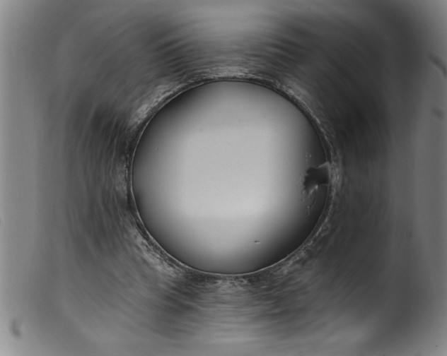 X0000099320345200805161406