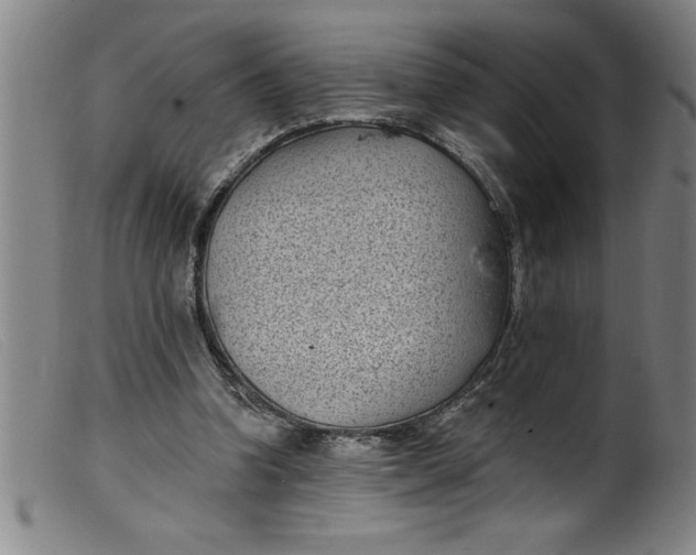 X0000099320346200805161406