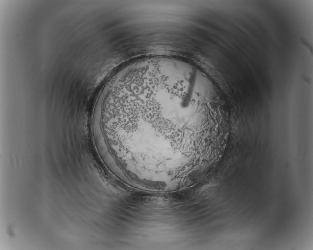 X0000099320347200805161406