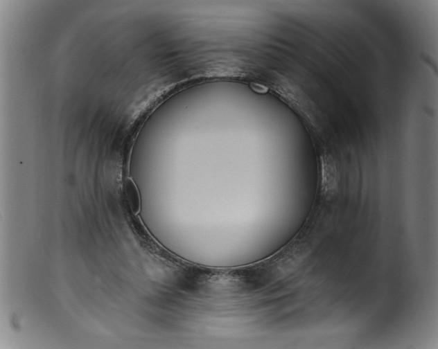 X0000099320348200805161406