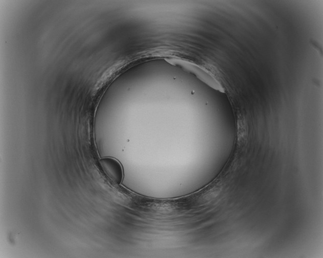 X0000099320349200805161406