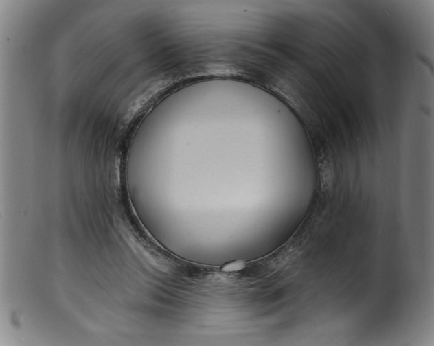 X0000099320350200805161406