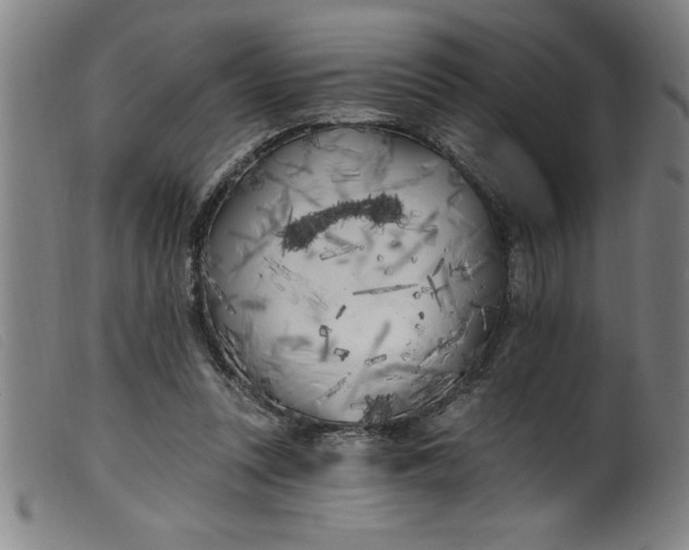 X0000099320351200805161406