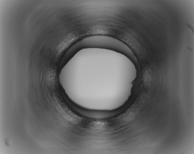 X0000099320352200805161406