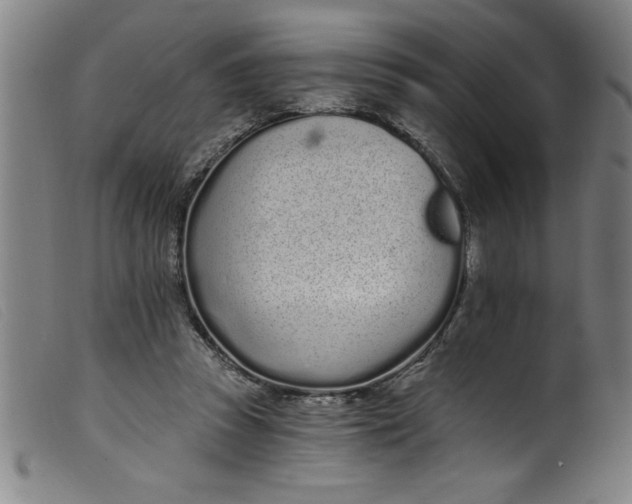 X0000099320353200805161406