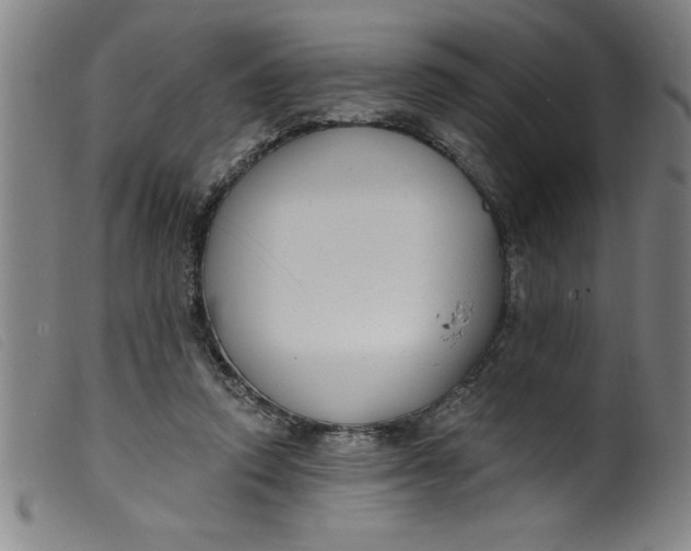 X0000099320354200805161406