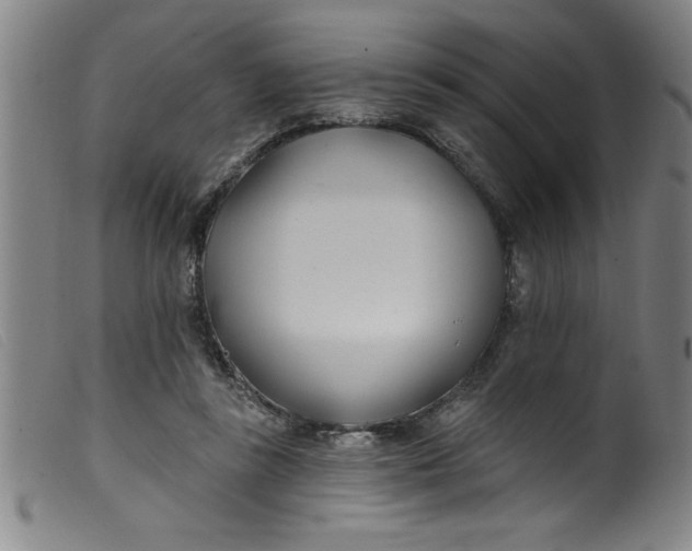 X0000099320355200805161406