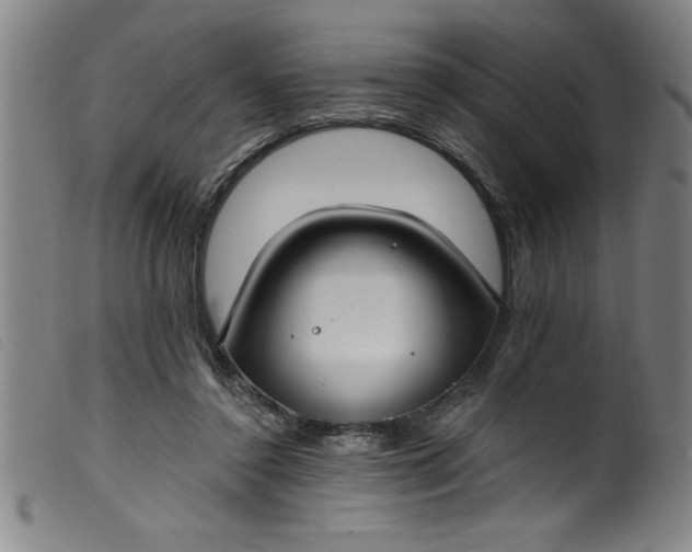 X0000099320356200805161406