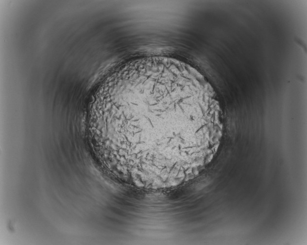 X0000099320357200805161406