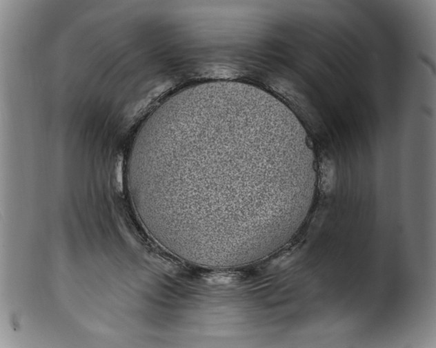 X0000099320358200805161406