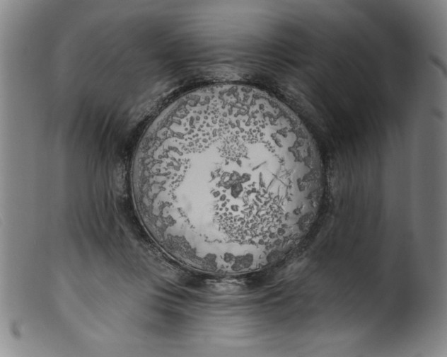 X0000099320359200805161406