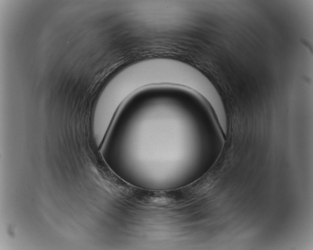 X0000099320360200805161406