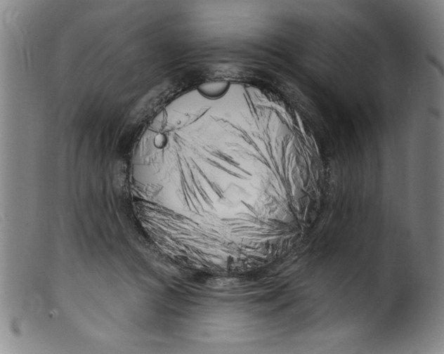 X0000099320361200805161406