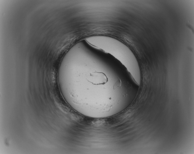 X0000099320362200805161406