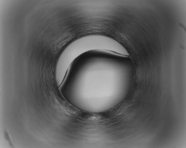 X0000099320364200805161406