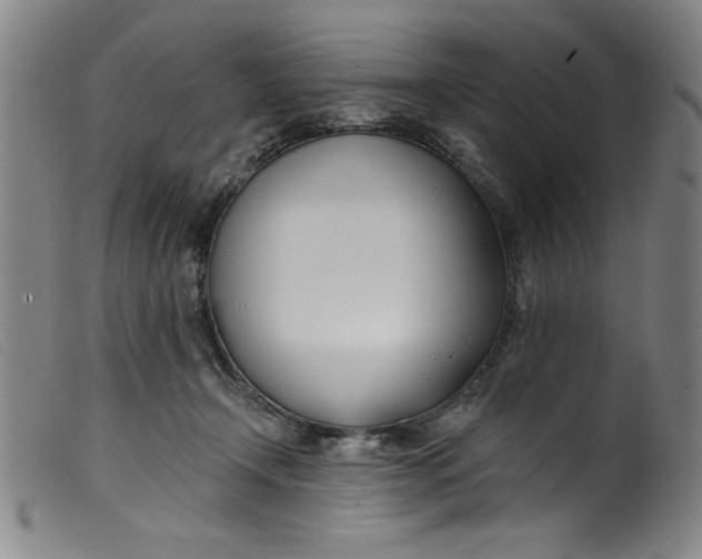 X0000099320366200805161406